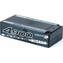 HV Stock Spec Shorty GRAPHENE-4 4900 mAh Hardcase Akku 7.6 V LiPo 135C/65C