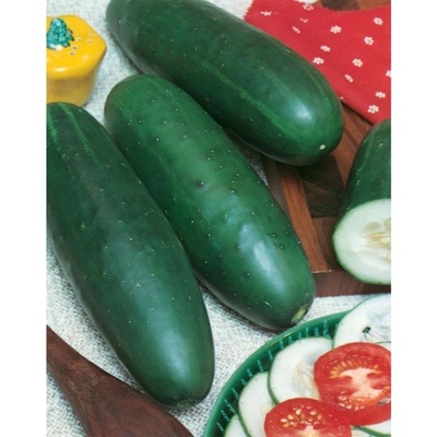 Uhorka šalátová Jogger F1