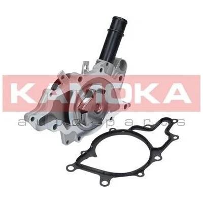 KAM-T0198