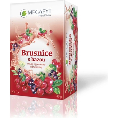 MEGAFYT Brusnice s bazou ovocný čaj 20 x 2 g