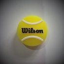 Wilson Roland Garros Vibra Dampener