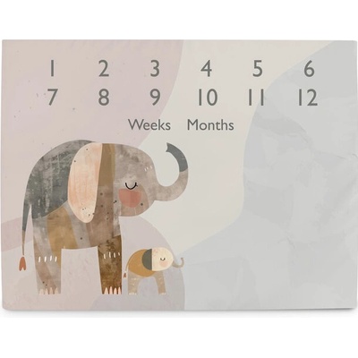 Ceba Podložka míľniková na fotenie Basic Elephant Family