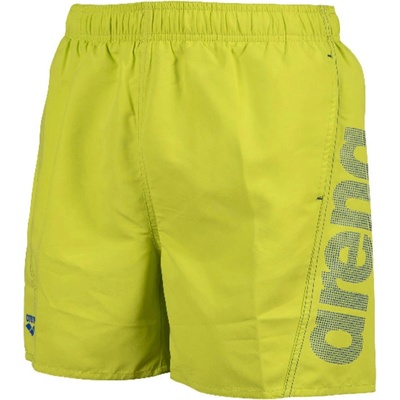 arena Mens Fundamentals Logo R Beach Boxer - Soft Green