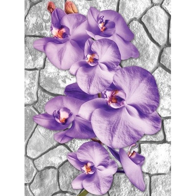 Preinterier Fototapeta panel - PL0216 - Fialové kvety vlies - 206cm x 275cm