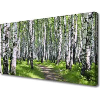 Obraz na plátně Les Stezka Příroda 100x50 cm