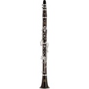 Yamaha YCL CX E