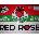 Бои за стъкло 6 х 25мл Red rose GB2619
