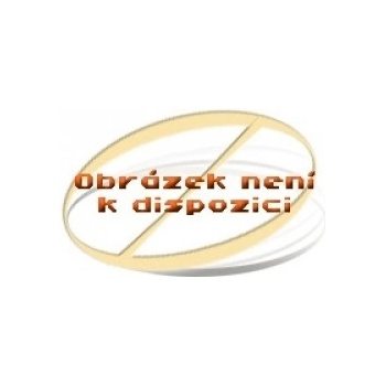 Komunikace v českém jazyce pro střední školy průvodce pro učitele