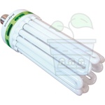 LUMii Lighting 200w LUMii CFL Warm White Lamp 2700K - Компактна флуоресцентна лампа с топъл спектър (2161)