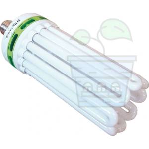 LUMii Lighting 200w LUMii CFL Warm White Lamp 2700K - Компактна флуоресцентна лампа с топъл спектър (2161)