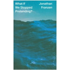 What If We Stopped Pretending? (ISBN: 9780008434045)