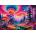 Alipson Puzzle - Puzzle Mushroom Forest - 1 000 piese