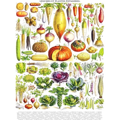 New York Puzzle Company - Puzzle Vegetables - 1 000 piese