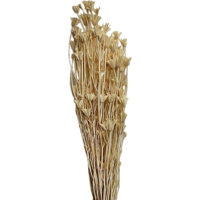 Nigella svazek 75cm/100g bělená