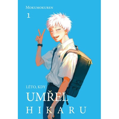 Léto, kdy umřel Hikaru 1