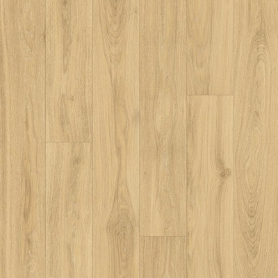 Beaulieu Fortex 2904 5 m 1 m²