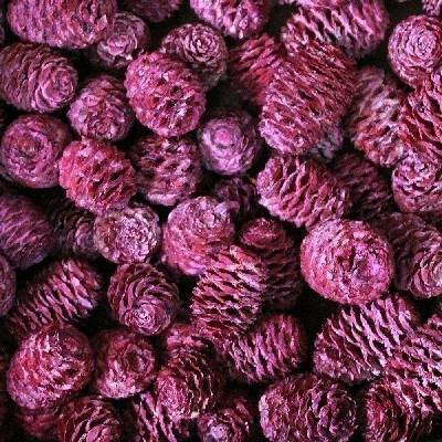 SABULOSUM LOOSE FROSTED RED POLY BAG ( 1 kg )