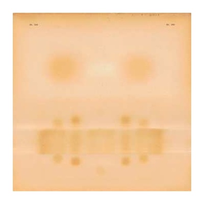 Dr. Dog - Dr. Dog LP