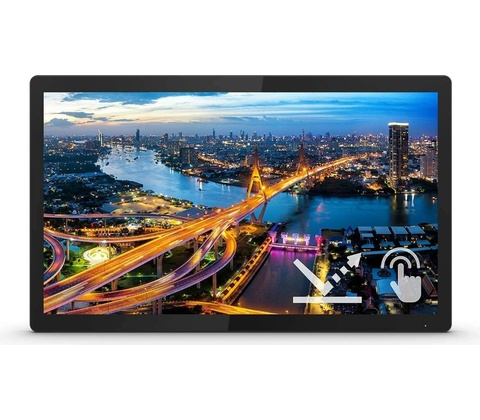 Philips 222B1TFL