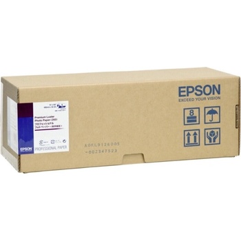 Epson C13S042079