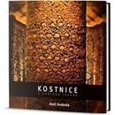 Kostnice