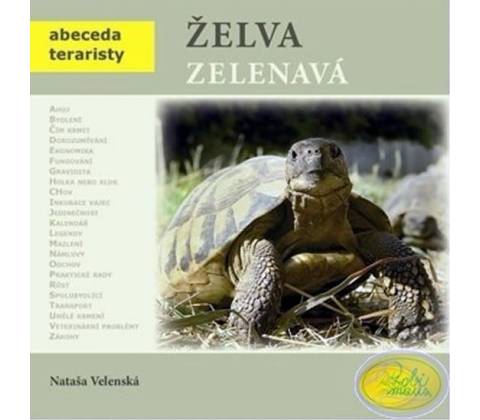 Želva zelenavá