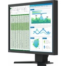 EIZO FlexScan S2134