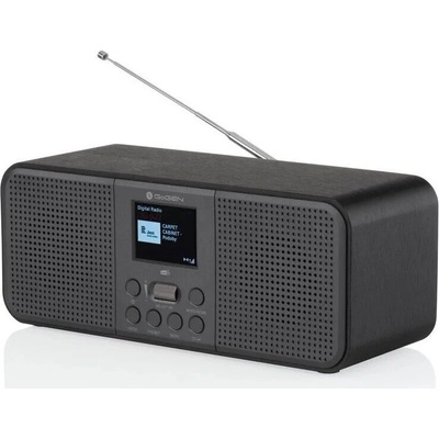 GoGEN RA-E981B