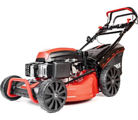 Hahn & Sohn Cedrus KS53S-E