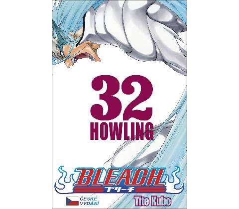 Bleach 32
