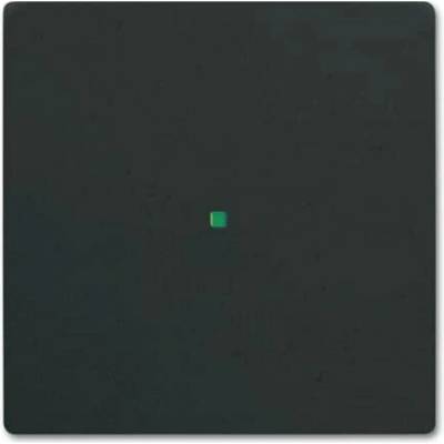 Busch-Jaeger 2CKA006220A0498