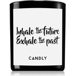 Candly & Co Candly & Co. Inhale the future ароматна свещ 250 гр