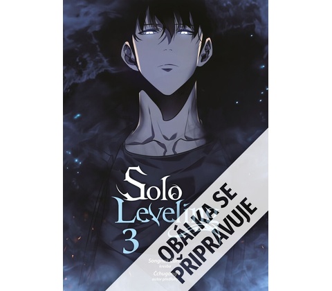 Solo Leveling 3