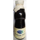 Nature Notea Babiččin sirup Borůvka 0,5 l