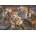 Magnolia - Puzzle Groupies at Risk - 1 000 piese