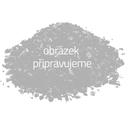 Bylík Reveň kořen 150 g