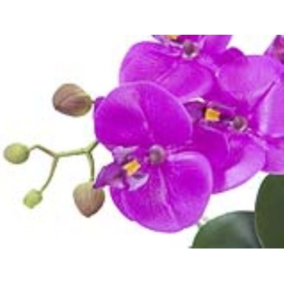 Orchidej fialová v dekoračním květináči, 45 cm