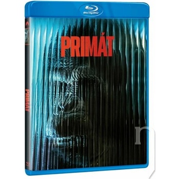 Primát BD