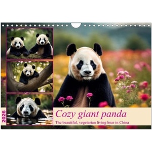 Calvendo Cozy giant panda (Wall Calendar 2026 DIN A4 landscape), CALVENDO 12 Month Wall Calendar | Calvendo, Claudia Kleemann