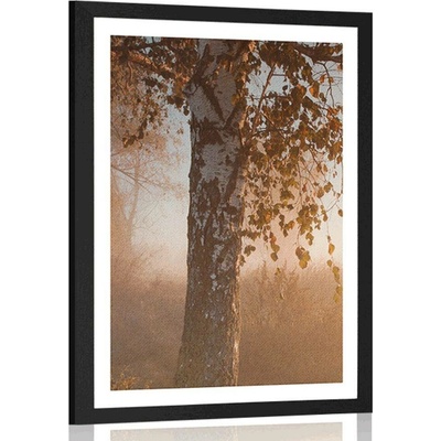 Plakát s paspartou mlhavý podzimní les - 40x60 no frame