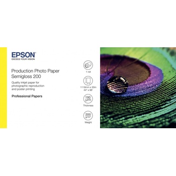 Epson C13S450378