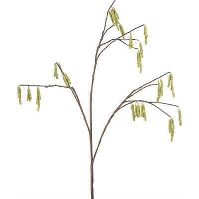 Jehnědy - Catkins stonek H112