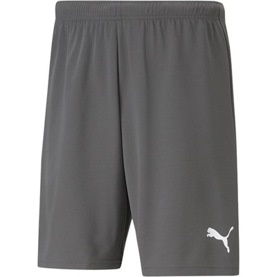 Puma teamRISE Short M