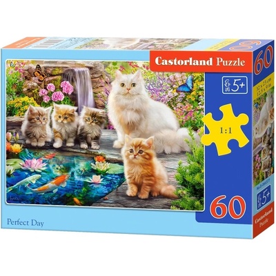 CASTORLAND Perfektný deň 60 dielov
