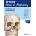 Head, Neck, and Neuroanatomy