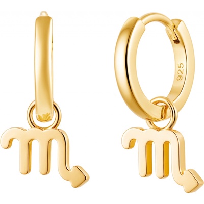 Olivie Stříbrné náušnice ŠTÍR GOLD 9594