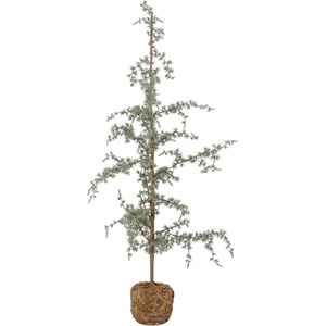 Bloomingville Изкуствена коледна елха височина 120 cm Vita - Bloomingville (82052639)