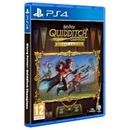 Warner Bros. Interactive Harry Potter Quidditch Champions [Deluxe Edition] (PS4)