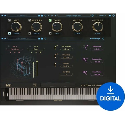 Boz Digital Labs Ningbo Upright 2021 Pro (Digitálny produkt)