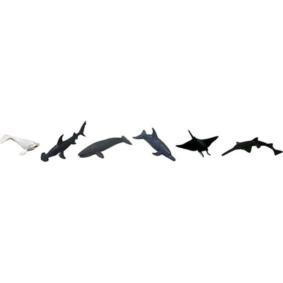 Animal Life Zvířata moří a oceánů